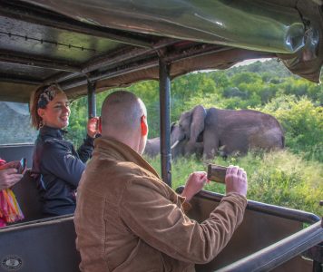 hluhluwe umfolozi day safari
